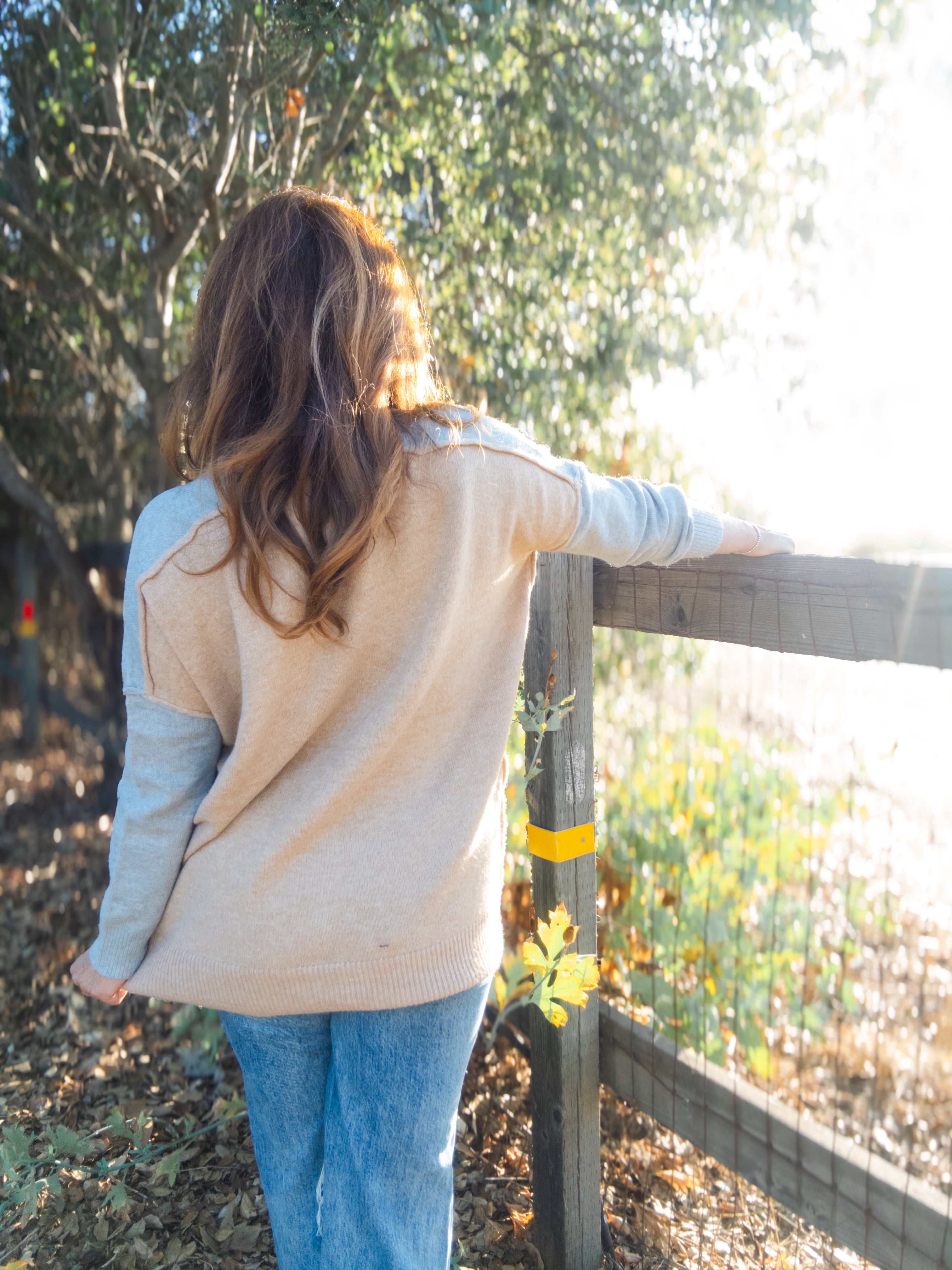 Elma Long Sleeve V-Neck