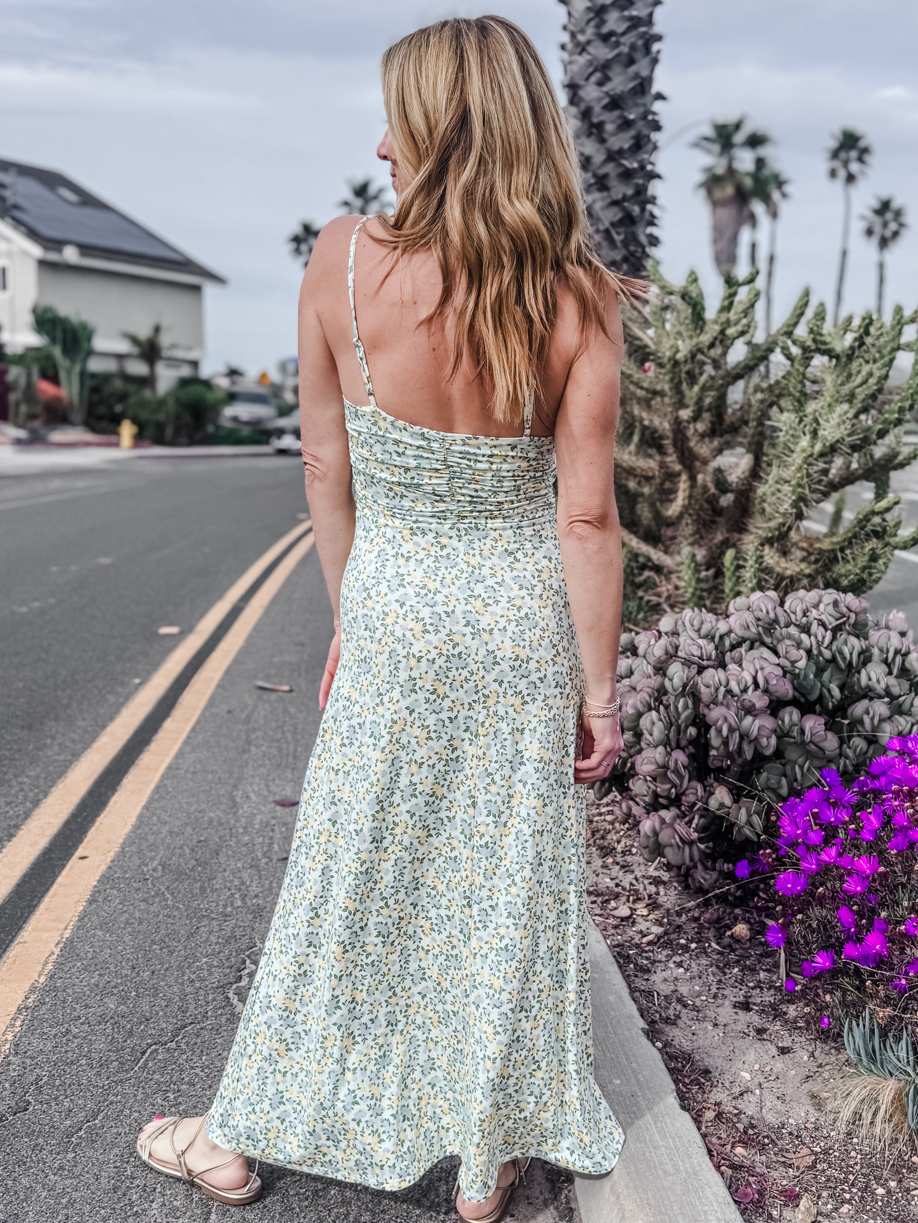 Z Supply Faya Idra Ditsy Maxi Dress