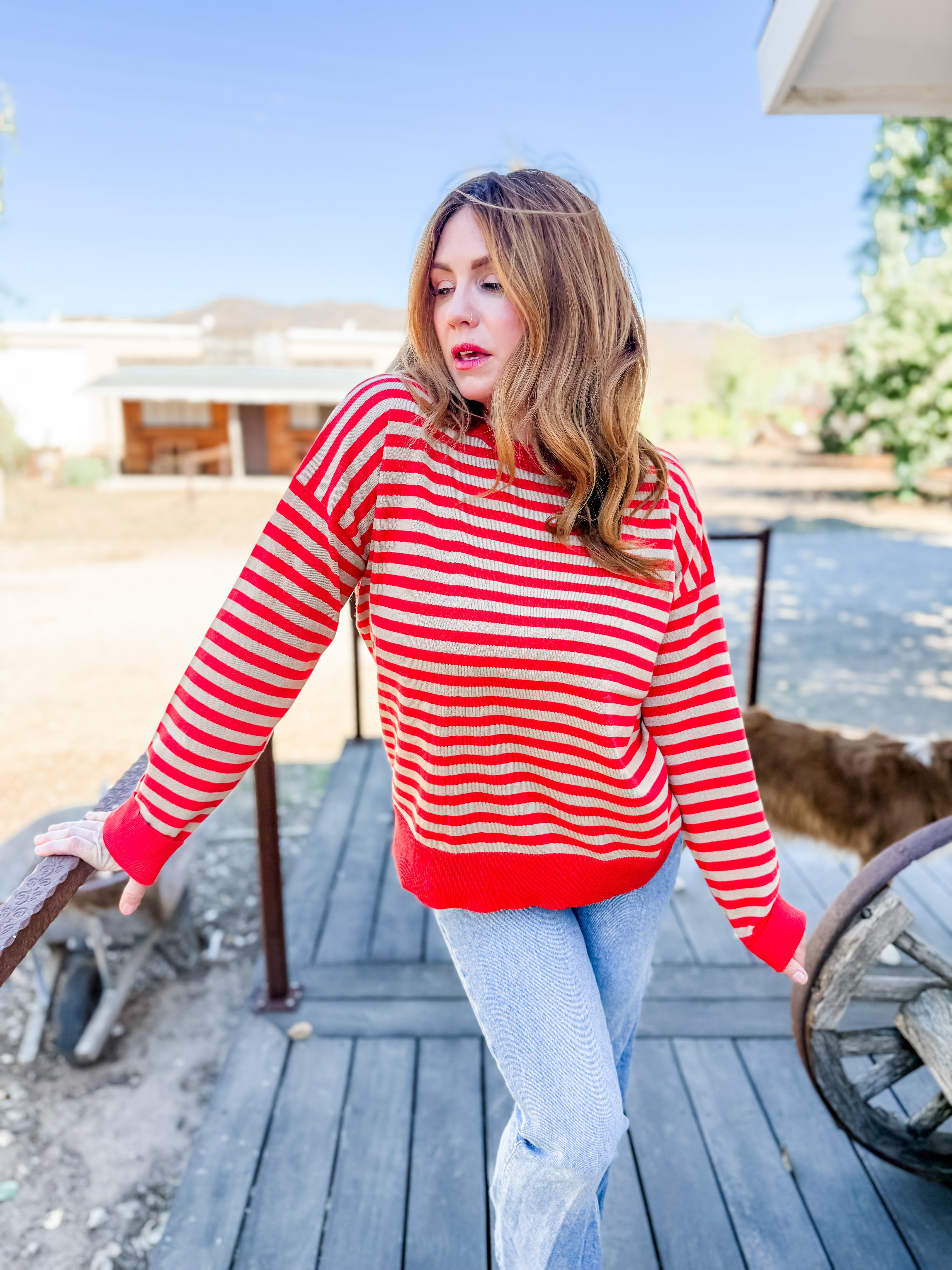 Daily Striped Pullover