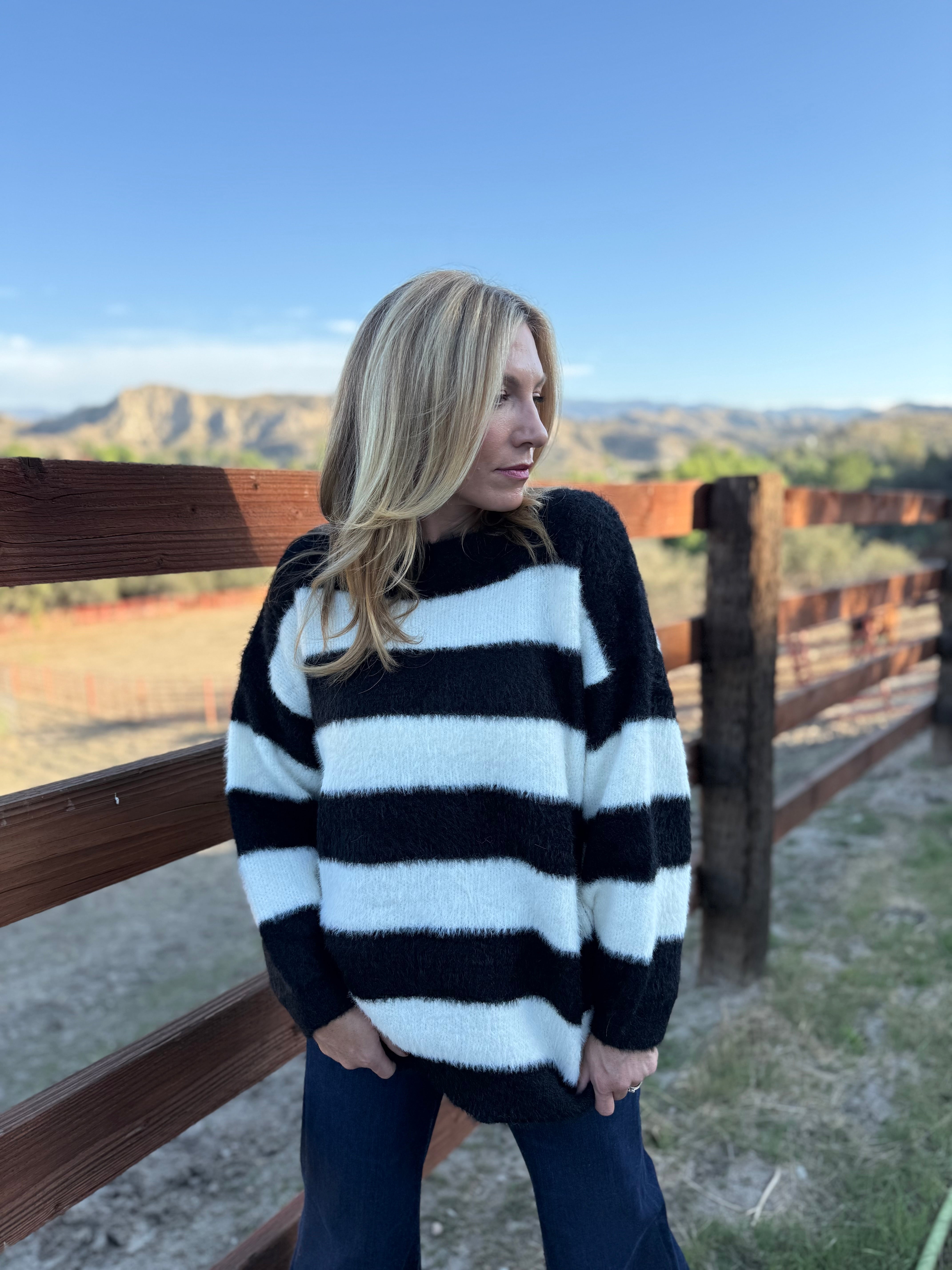 Fuzzy Stripe Sweater