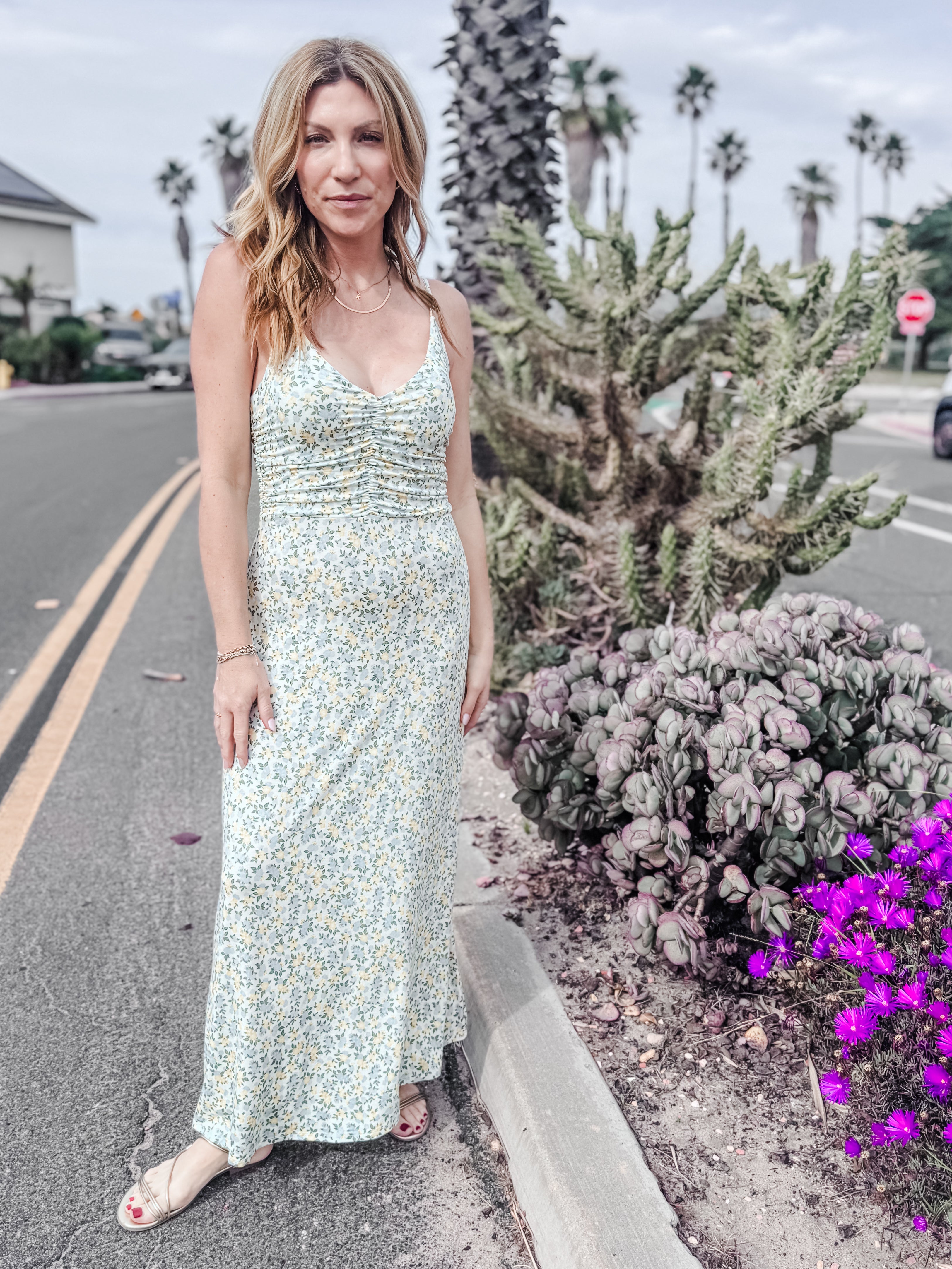 Z Supply Faya Idra Ditsy Maxi Dress