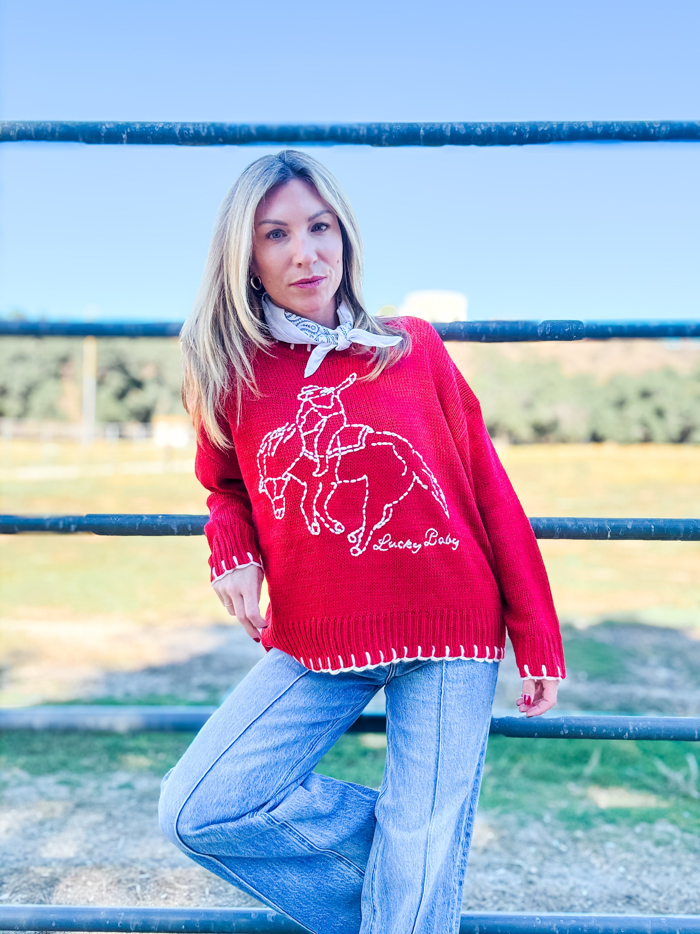 Lucky Baby Stitch Sweater